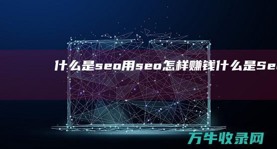 什么是seo 用seo怎样赚钱 (什么是Seo搜索引擎优化)